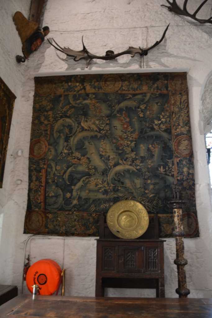 DSC_5505Mittel_.JPG